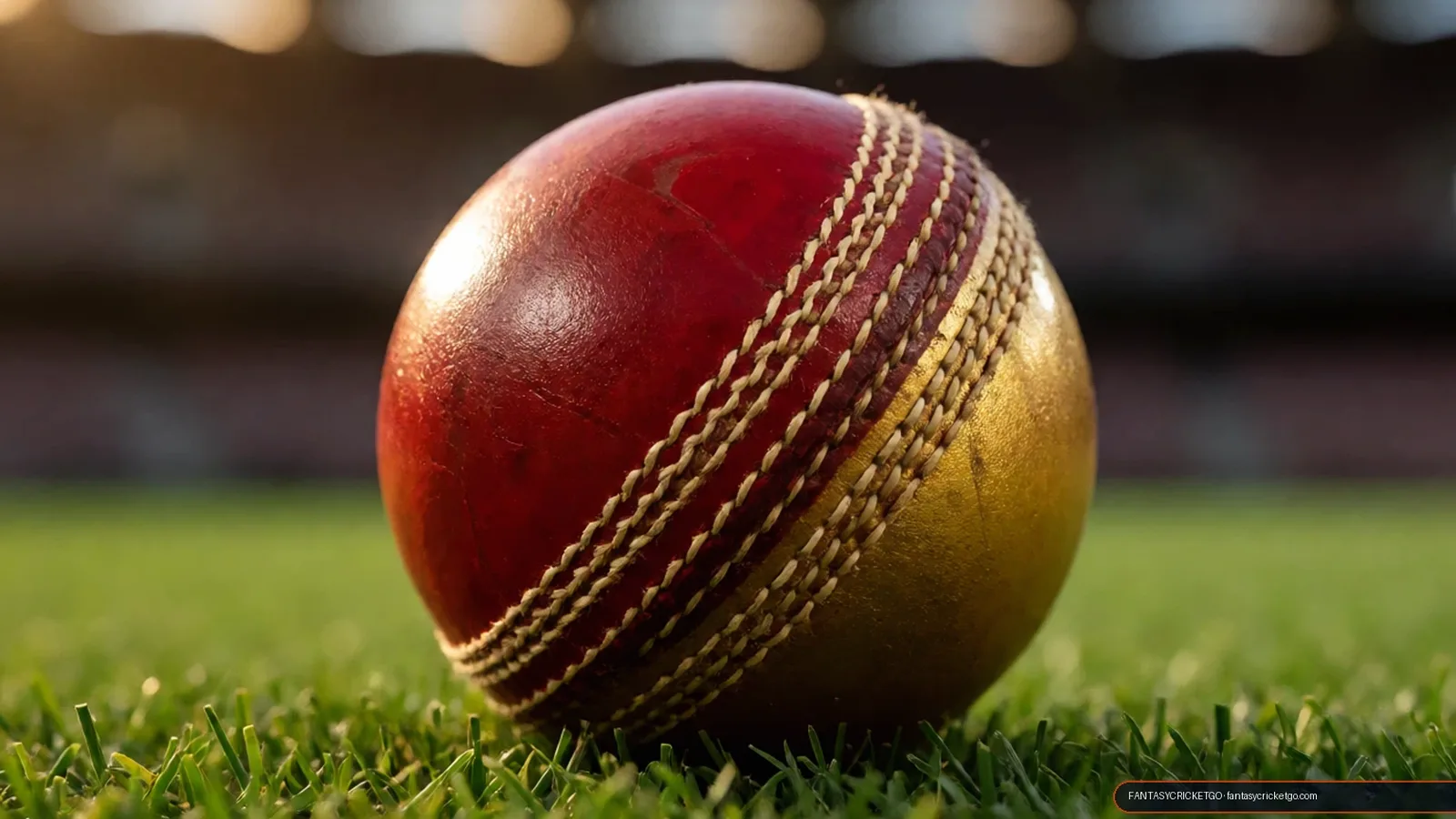 Fantasycricket fantasy cricket app fantasy cricket stadium